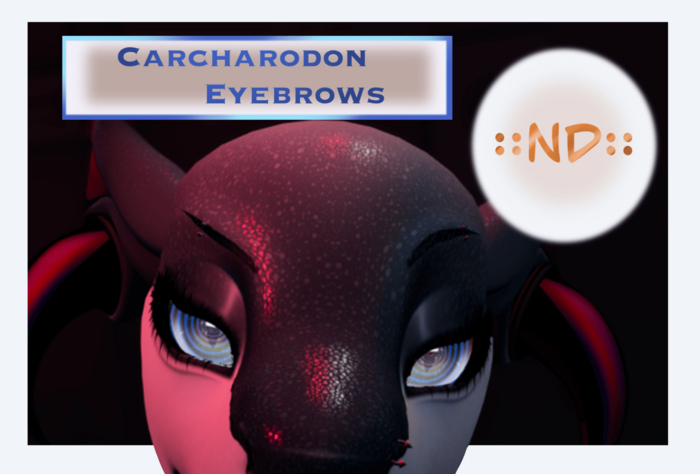::ND:: CARCHARODON EYEBROWS