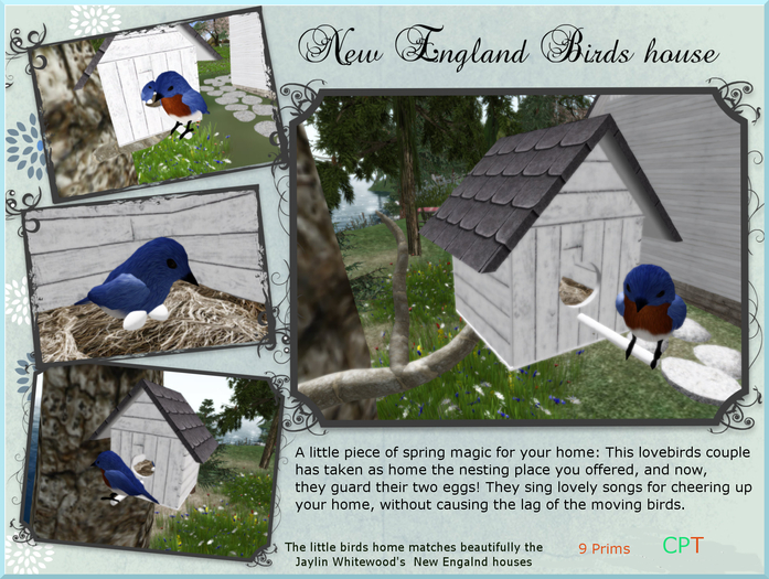 New England Bird House with bird songs (White Wood) BOXED