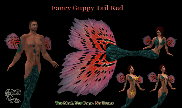 Fancy Guppy Tail - Red