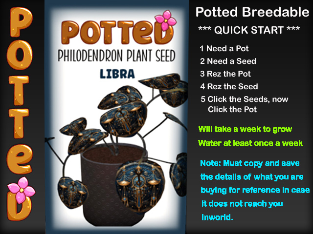Potted: Philodendron Plant Seed: Libra