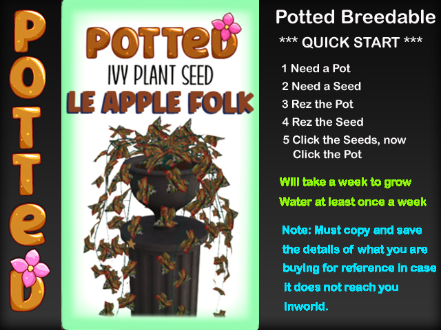 Potted: Starter Ivy Plant Seed: LE Apple Folk