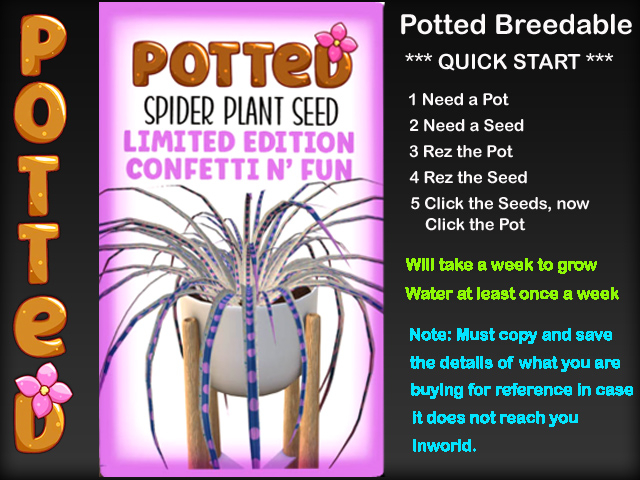 Potted: Starter Spider Plant Seed: LE Confetti n' Fun