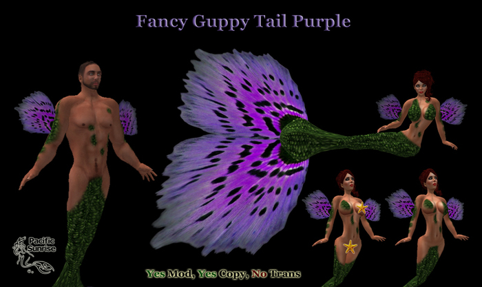 Fancy Guppy Tail - Purple