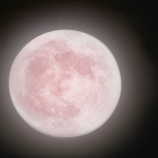 ((H))SAKURA-TUKIYO(EEP) sakura moon