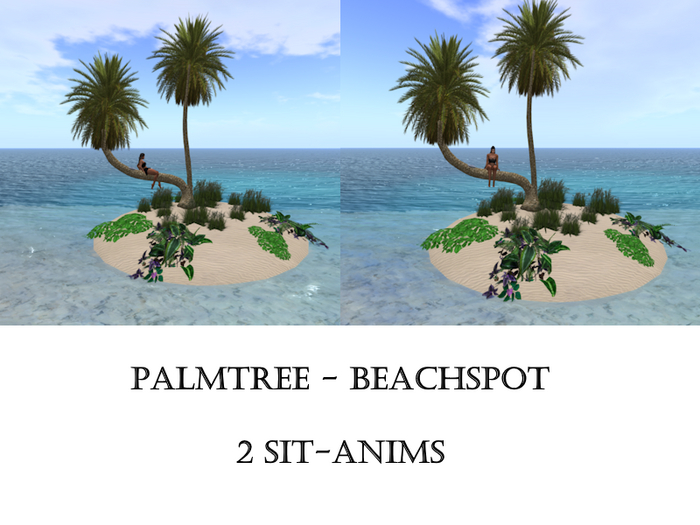 palmtree beachspot