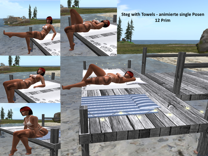 Steg with towels - anims box