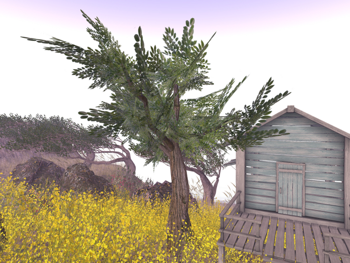 Tree2ByAlle