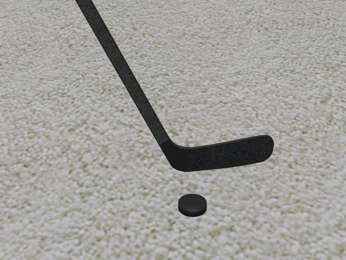 TM Hockey Stick and Puck