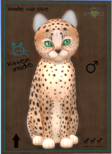 KittyCatS Box - Cheetah! - Au Natural
