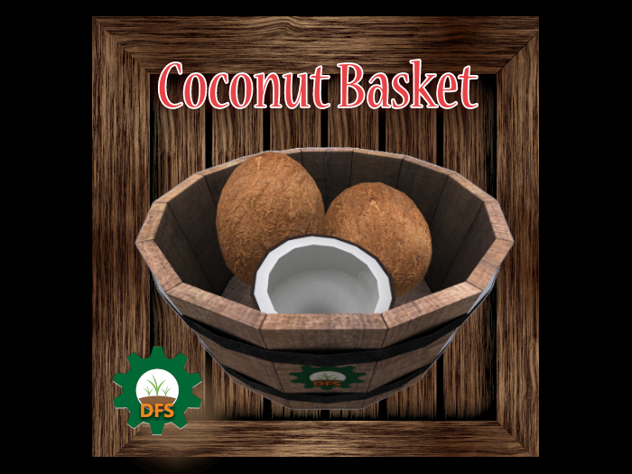 DFS Coconut Basket
