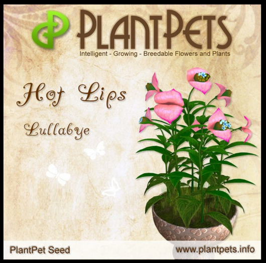 PlantPet Seed [Hot Lips *Lullabye*]