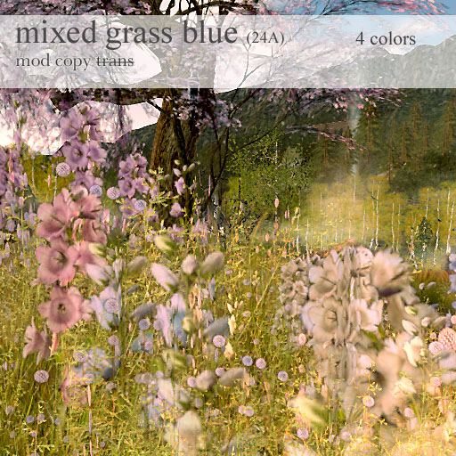 Samsa . mixed grass with flowers 24 A blue