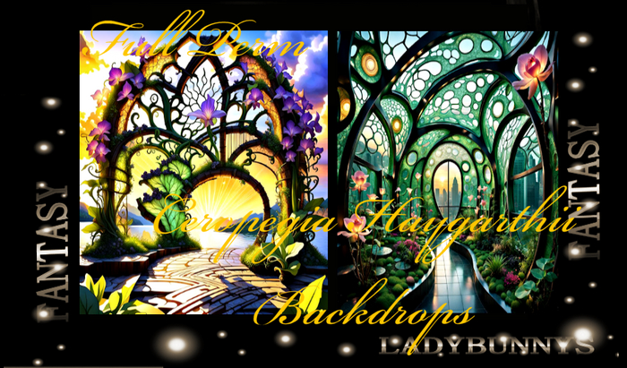 Fantasy Background Textures-Ceropegia Haygarthii Backdrops Full Perm