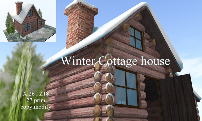 Winter Cottage House Box / market