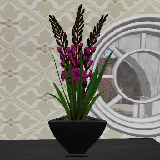 Song's Art Deco Gladiolus