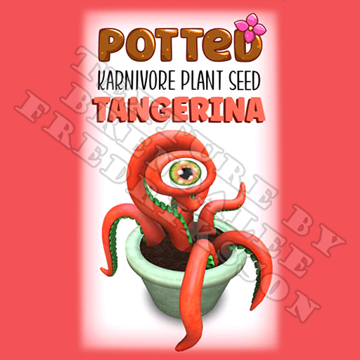 Potted: Karnivore Plant Seed: Tangerina (ACTUAL PLANT SEED)