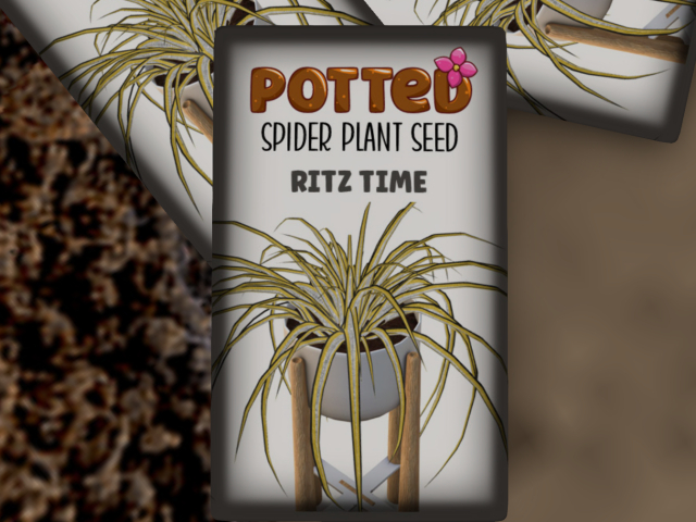 Potted: Spider Plant Seed: Ritz Time