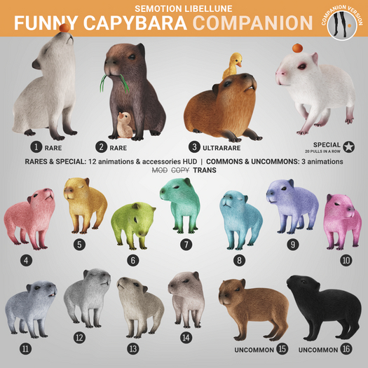SEmotion Libellune Funny Capybara Companion COMMON 04