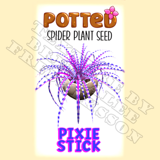 Potted: Spider Plant Seed: Pixie Stick (ACTUAL PLANT SEED) - Retired!