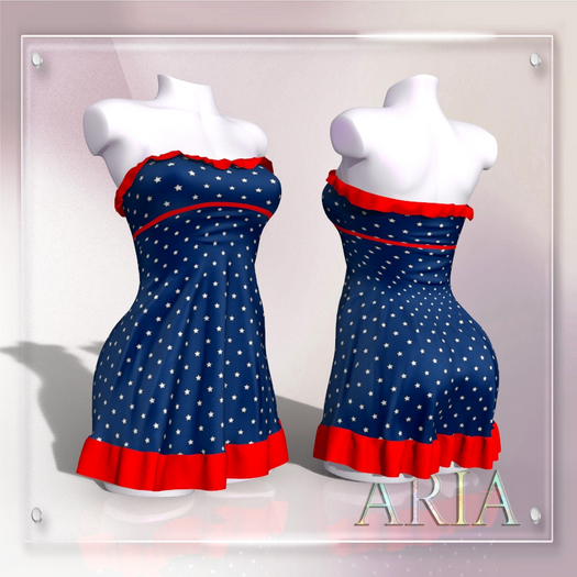 Red Blue Independence Sense LaraX