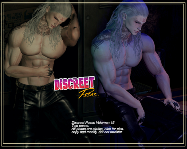 Discreet Poses Volumen 15