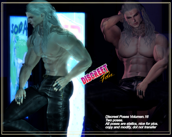 Discreet Poses Volumen 16