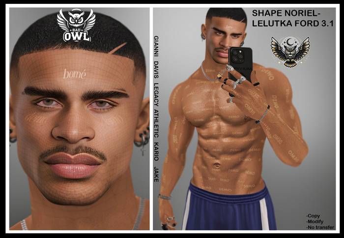 SHAPE NORIEL-LELUTKA FORD 3.1