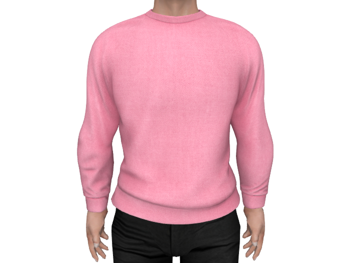 Sweatshirt P