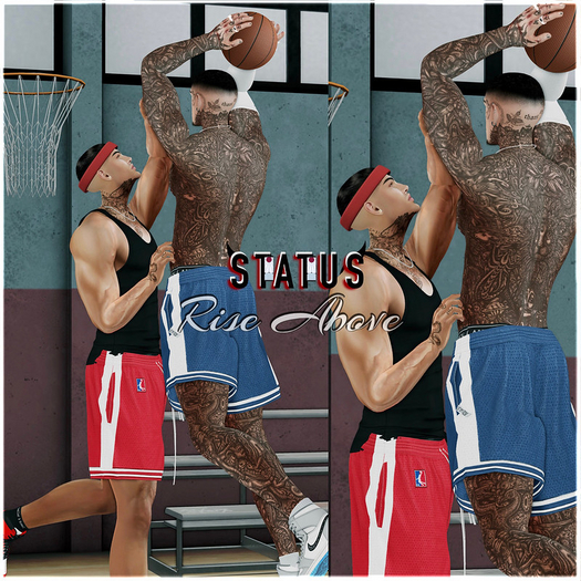 STATUS ~ Rise Above