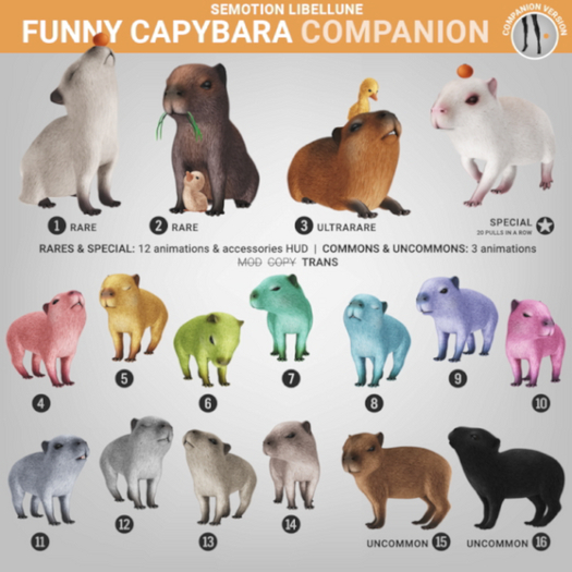 SEmotion Libellune Funny Capybara Companion RARE 01