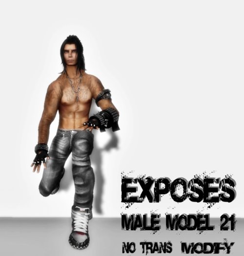 EXPOSES - MALE MODEL 21 - NO TRANSFER