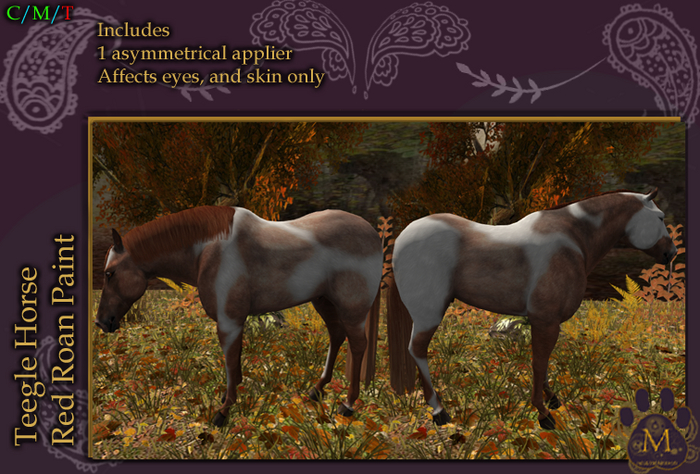 *M* TH red roan paint Unpacker