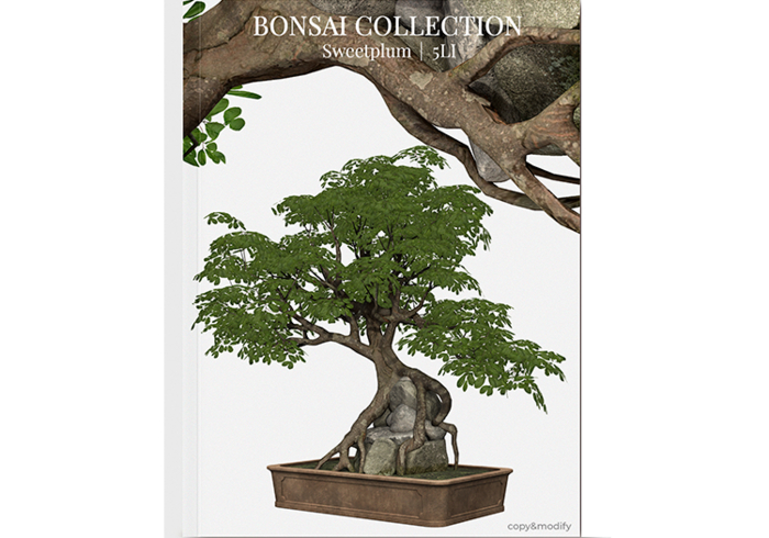 MINIMAL - Bonsai Collection Sweetplum