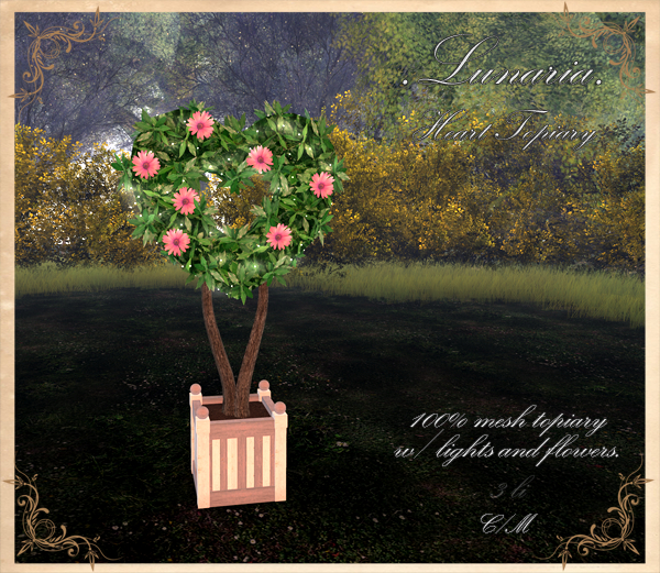 .Lunaria. Heart Topiary 