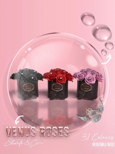 SHARDE $ Venus Gift Set - MEGAPACK