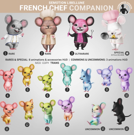 SEmotion Libellune French Chef XS Companion COMMON 13