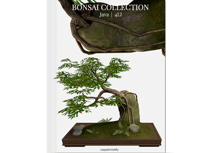 MINIMAL - Bonsai Collection Java