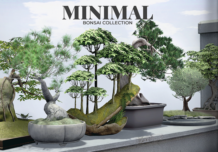 MINIMAL - Bonsai Collection FATPACK