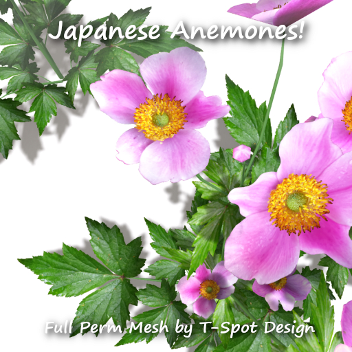 T-Spot Mesh - Japanese Anemones - Full Perm - LI=1-3