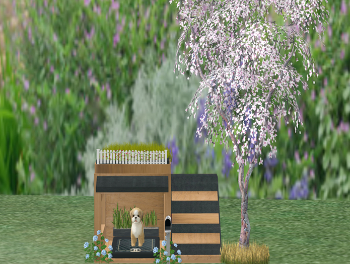 Shihtzu Dog In His Chanel Dog House