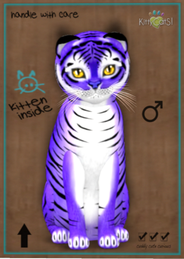 KittyCatS Box - Tiger! - Lavender