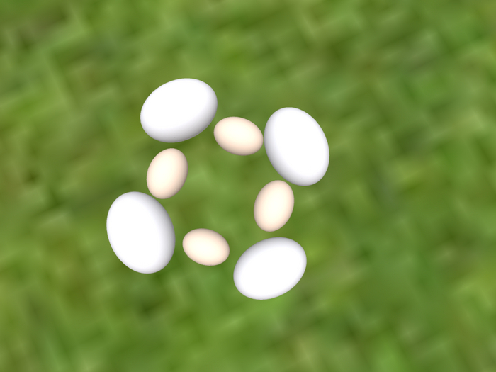 Eier Eggs   8 St.  mesh FP