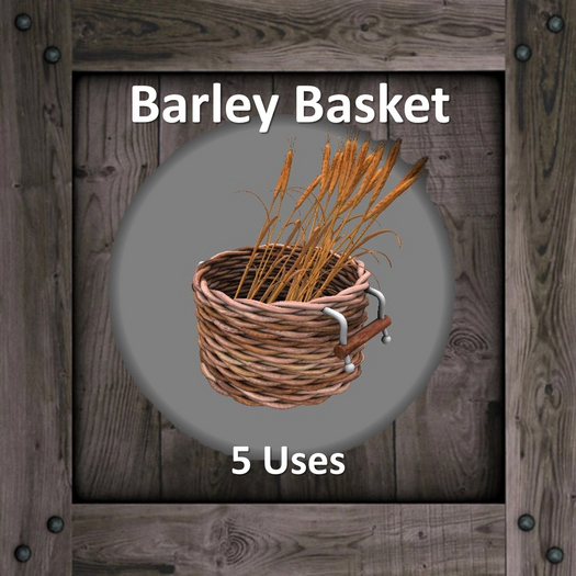 DFS Barley Basket