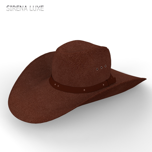 Brown Cowboy Hat