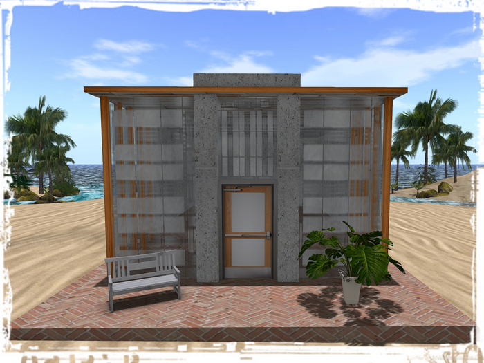 Modern designer house