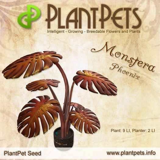 PlantPet Seed [Monstera *Phoenix*]