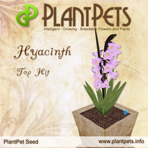 PlantPet Seed [Hyacinth *Top Hit*]