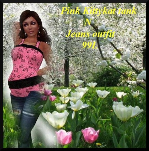 Pink Kittykat tank