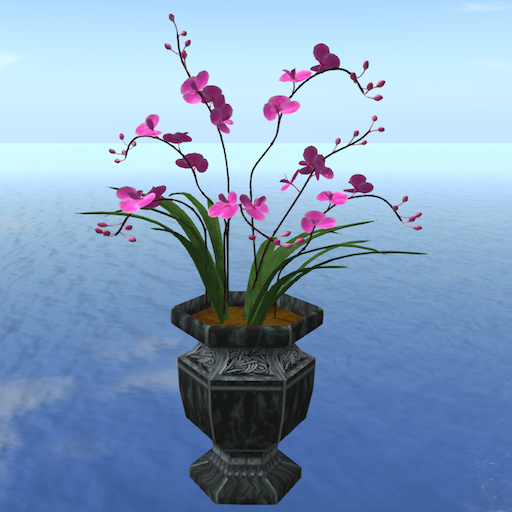 Song's Pink Orchid Pot