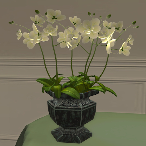Song's Pot of White Orchids